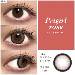 [1Day]Primore Pri Girl Rose プリモア プリガールローズ